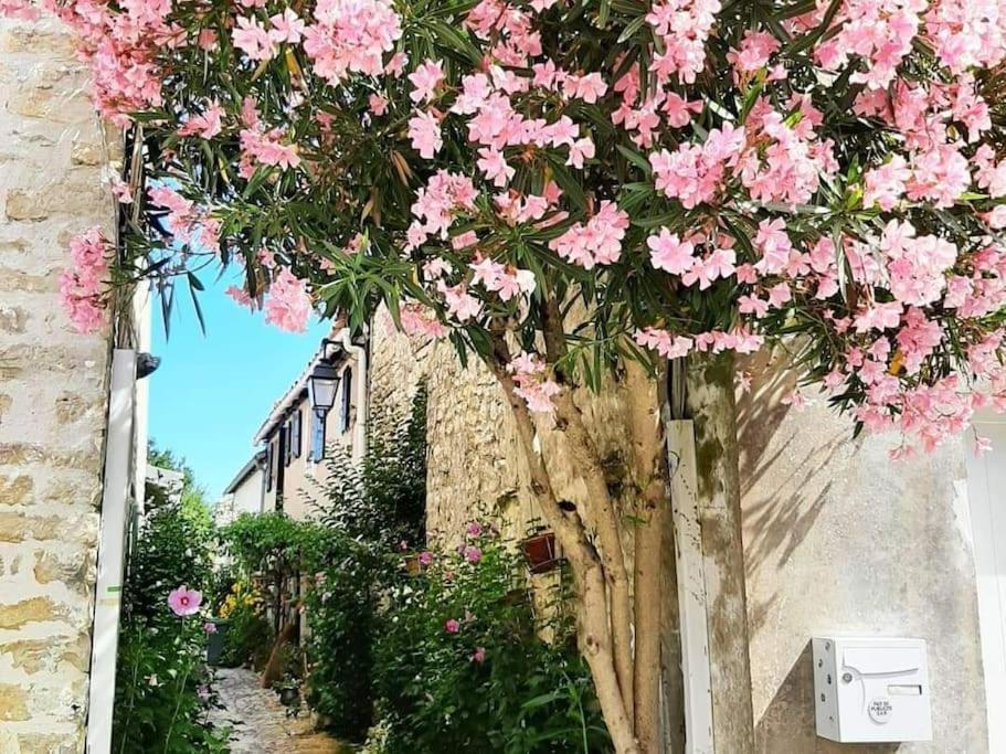 Delicieux Moment De Detente Au Coeur De Saint Martin De Re Екстериор снимка